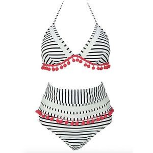Mesh stripe high waisted bikini